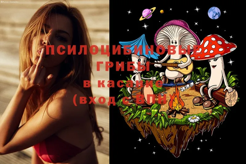 Псилоцибиновые грибы Psilocybe Верхняя Тура